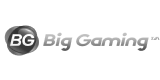 big-gaming-logo